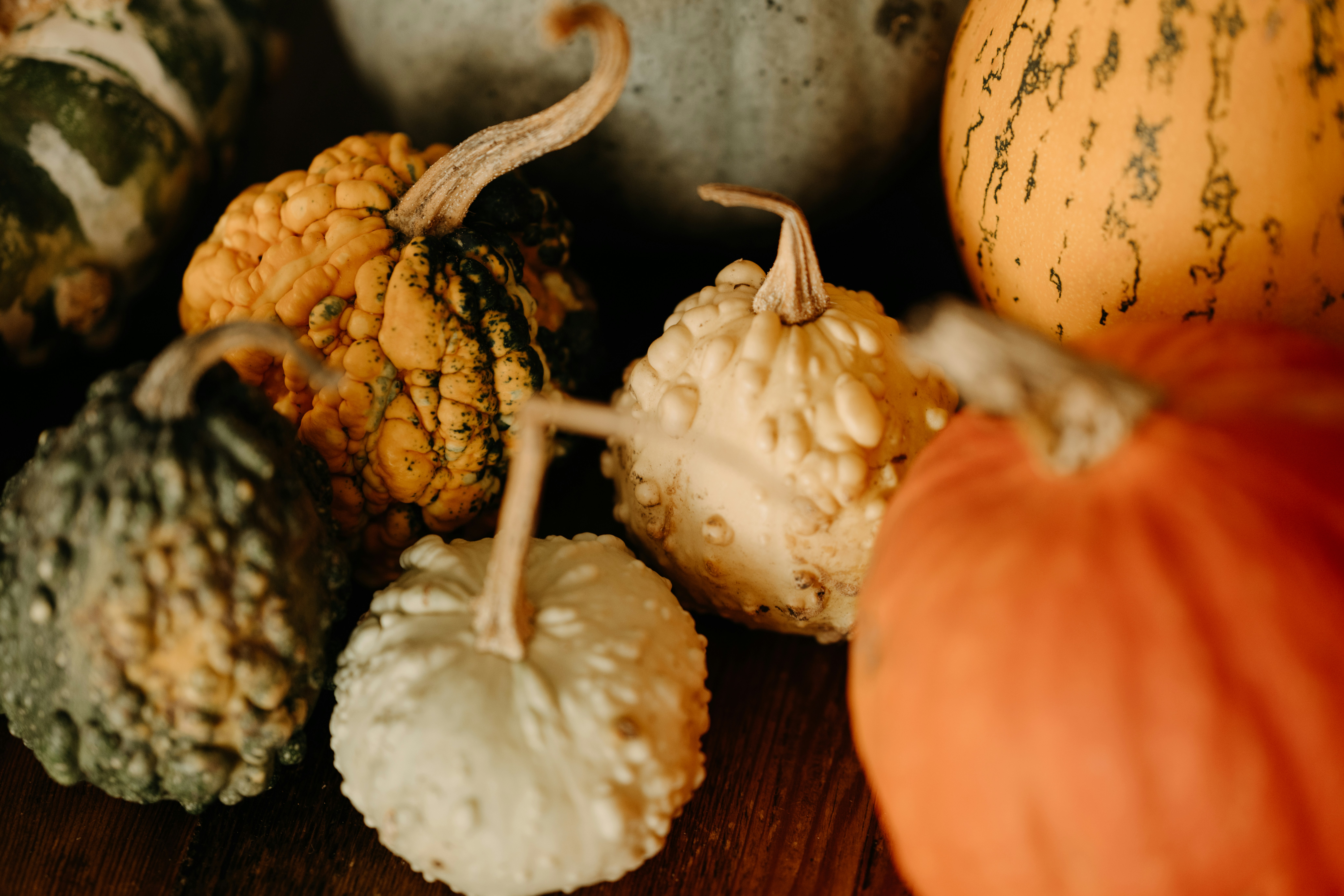 14-dnevni mediteranski jelovnik za jesen: batch-cooking i pametna kupnja